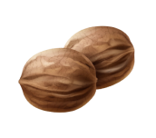 vector-two-whole-walnuts-close-up-side-view-isolated-white-background 1